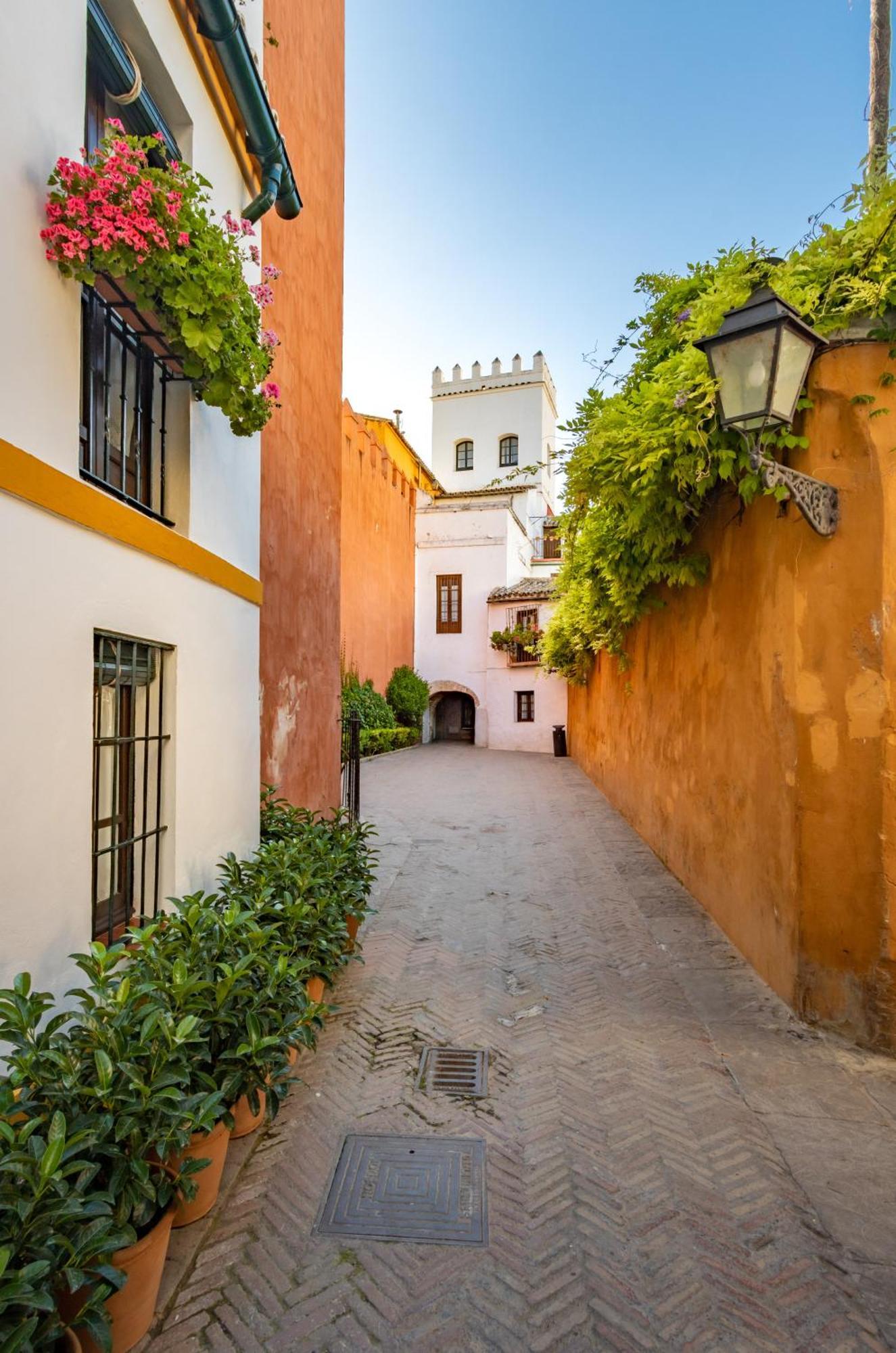 Encantador Apartamento A Un Paso De La Catedral Sevilla Exterior foto
