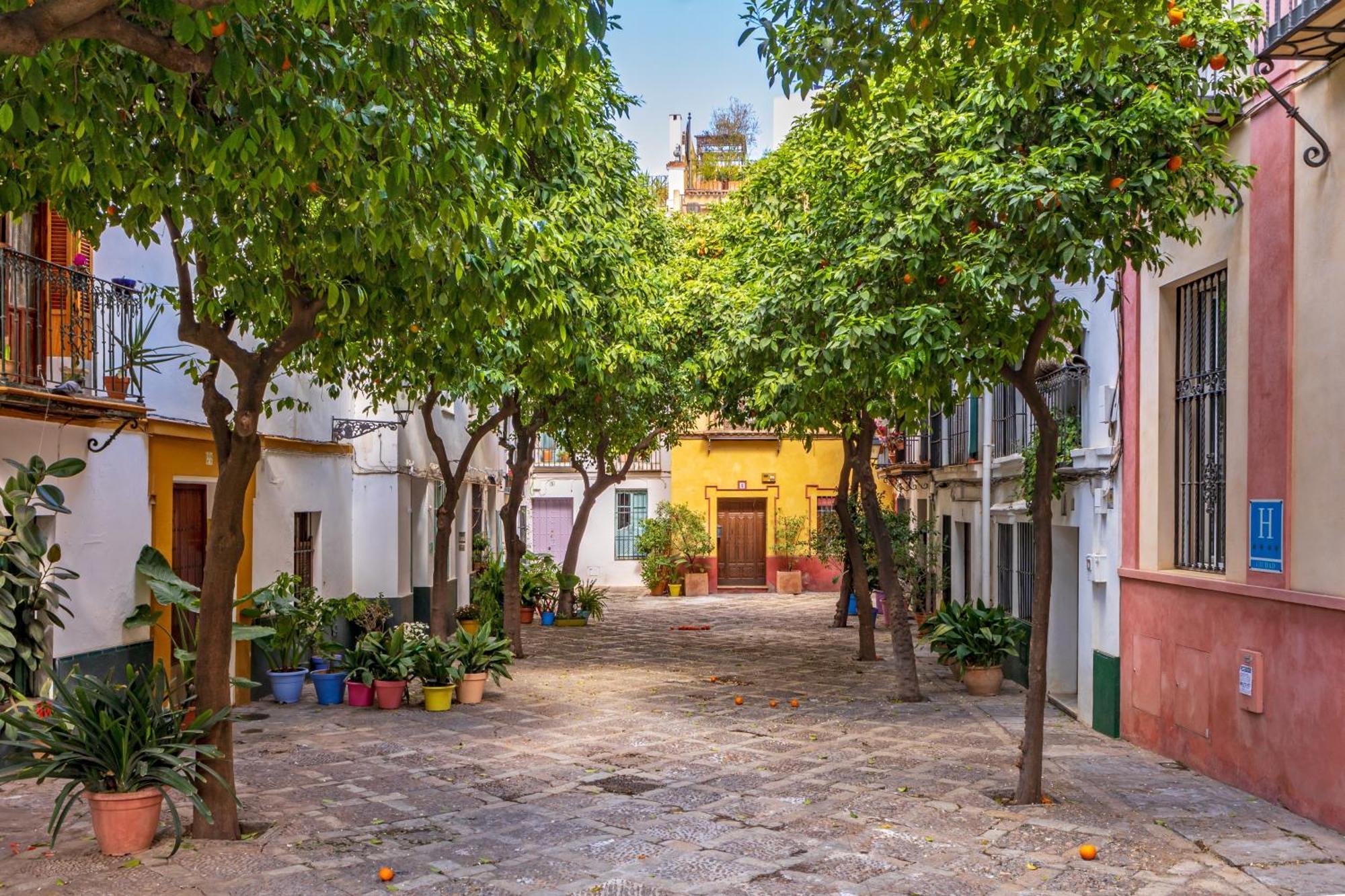Encantador Apartamento A Un Paso De La Catedral Sevilla Exterior foto